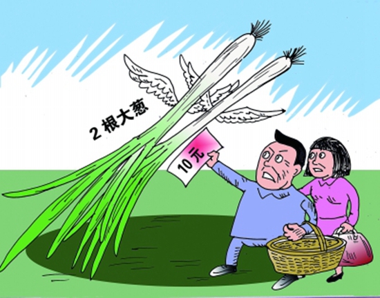 高價(jià)蔥提升成本，菜品價(jià)到底漲不漲愁壞老板
