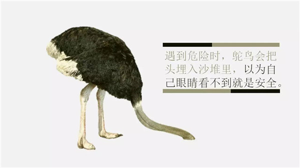 這6個(gè)詞，你誤解了任何一個(gè)，都能讓你錯(cuò)過“風(fēng)口”