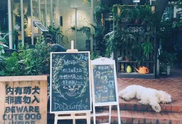 如何開家能賺錢的咖啡館？過來人是這樣算帳的...|餐飲界