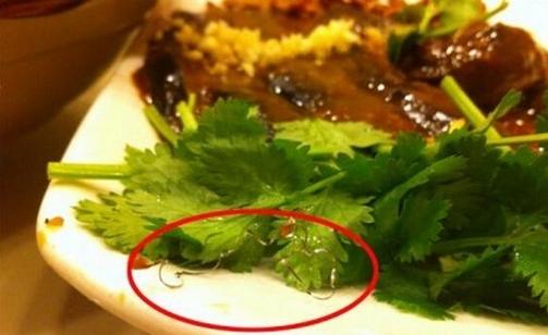 食客在餐廳吃到鋼絲，餐廳被判賠償食客206萬，并罰款686萬