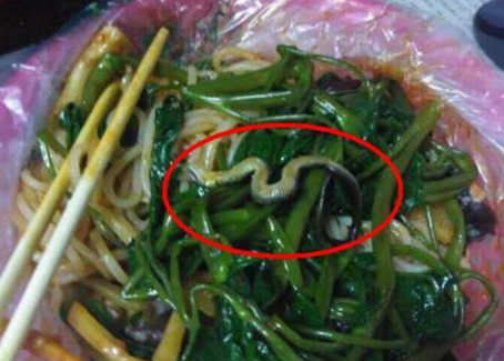 震驚！廣西大學(xué)一螺螄粉店竟然吃出一條蛇！真相是？