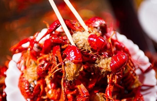 餐飲業(yè)存在很多的偶然性，別迷信成功學(xué)