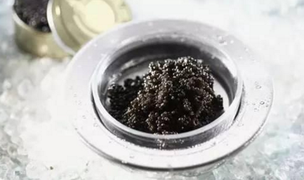 魚子醬到底有多少種？餐飲人快來辨別一下