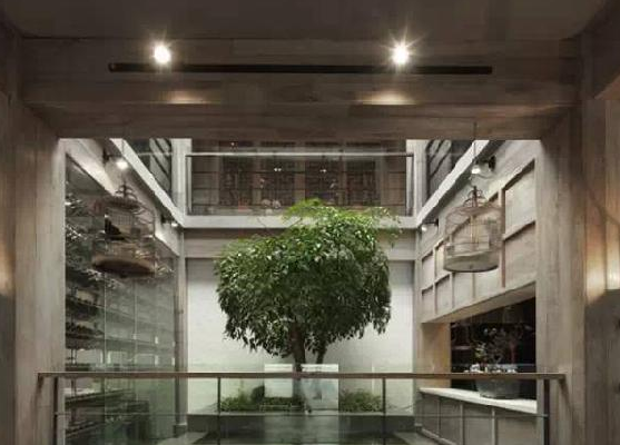 餐廳運用上這些植物裝飾，格調(diào)空間立馬不同