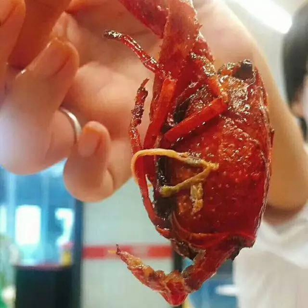 帝都當(dāng)紅小龍蝦測評：誰家的“麻小”在說謊？|餐飲界