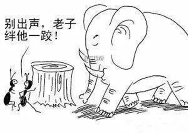 火鍋老板必看：與巴奴共舞的3個戰(zhàn)略機會！
