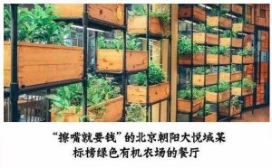 但凡說紙巾要2元的餐廳，我不會去第二次！|餐飲界