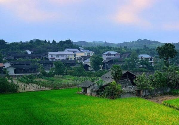 城市水太深，回鄉(xiāng)開餐廳？看完這篇你再做決定……
