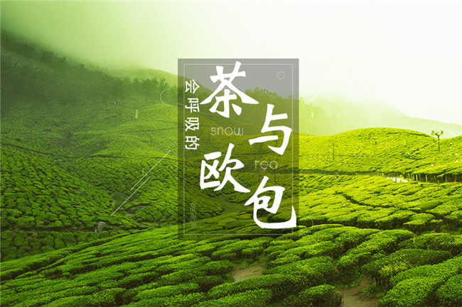 9個月開600家店，漫雪的茶憑啥攻占全國市場？|餐飲界