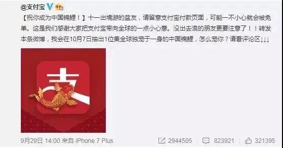 “錦鯉”火了，為什么我不建議跟風蹭這個大熱點？